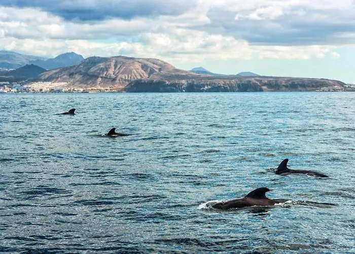 Apartment Club Paraiso Costa Adeje (Tenerife)